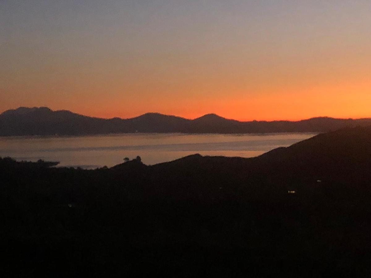 Whakaipo Bay Cabin Retreat تاوبو المظهر الخارجي الصورة