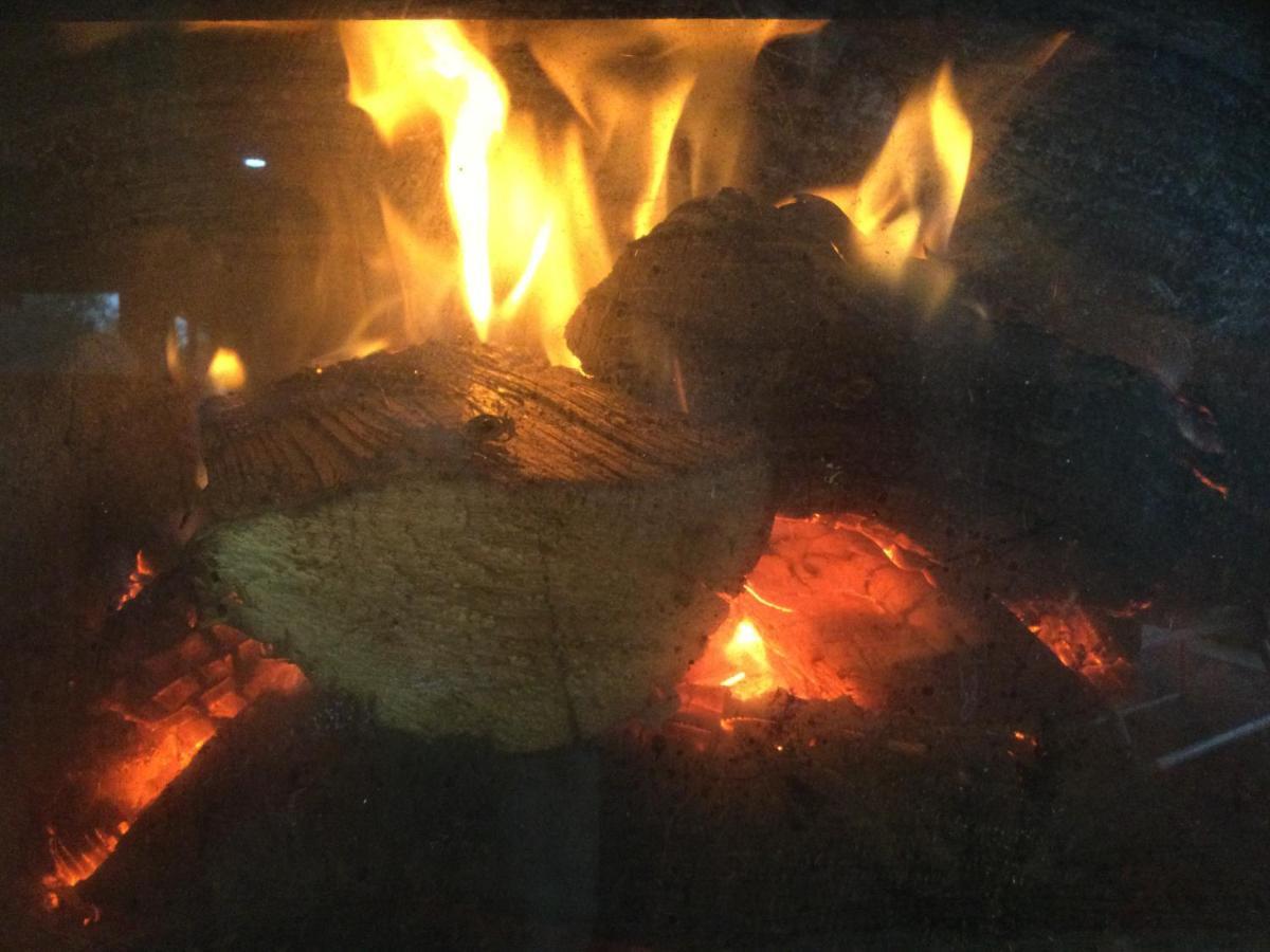 Whakaipo Bay Cabin Retreat تاوبو المظهر الخارجي الصورة